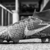 Jadon Sancho Unveils New Nike Football Boots image 0